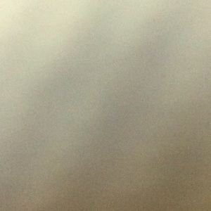 Meet your Posher, Shaniqua